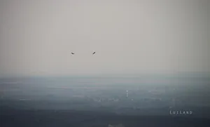 Fotók és kisfilm: Útirány.hu