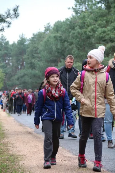 Második Fenyőfői Medvehagymás Családi Nap