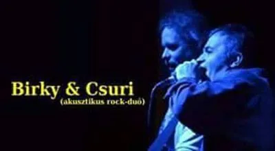 Előadó művészeink