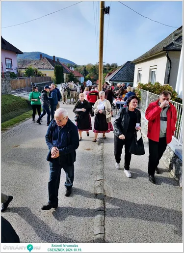 Szüreti felvonulás és Bál