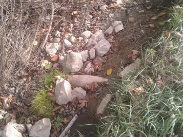 Képek: Pénzesgyőr Önkormányzat