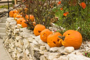 Tökfesztivál 2018. Képek: Babai Lalinda