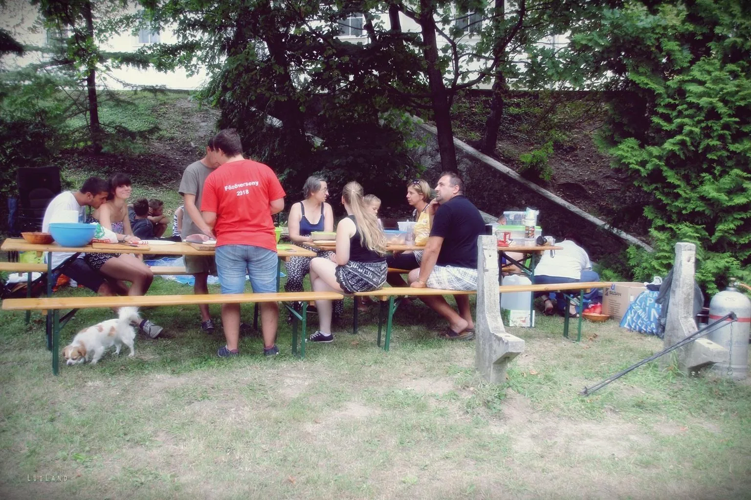 Nyárbúcsúztató főzőverseny, Fotó: LuiLand 