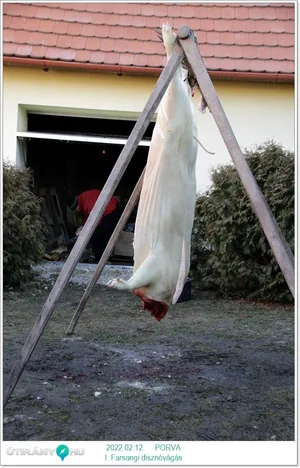 Fotók, Útirány.hu 