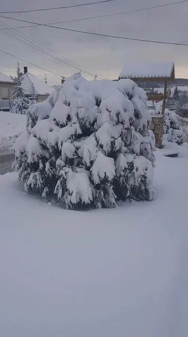 Fotó: Veinperlné Kovács Andrea