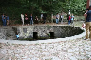 Fotók: BakonyiHírek