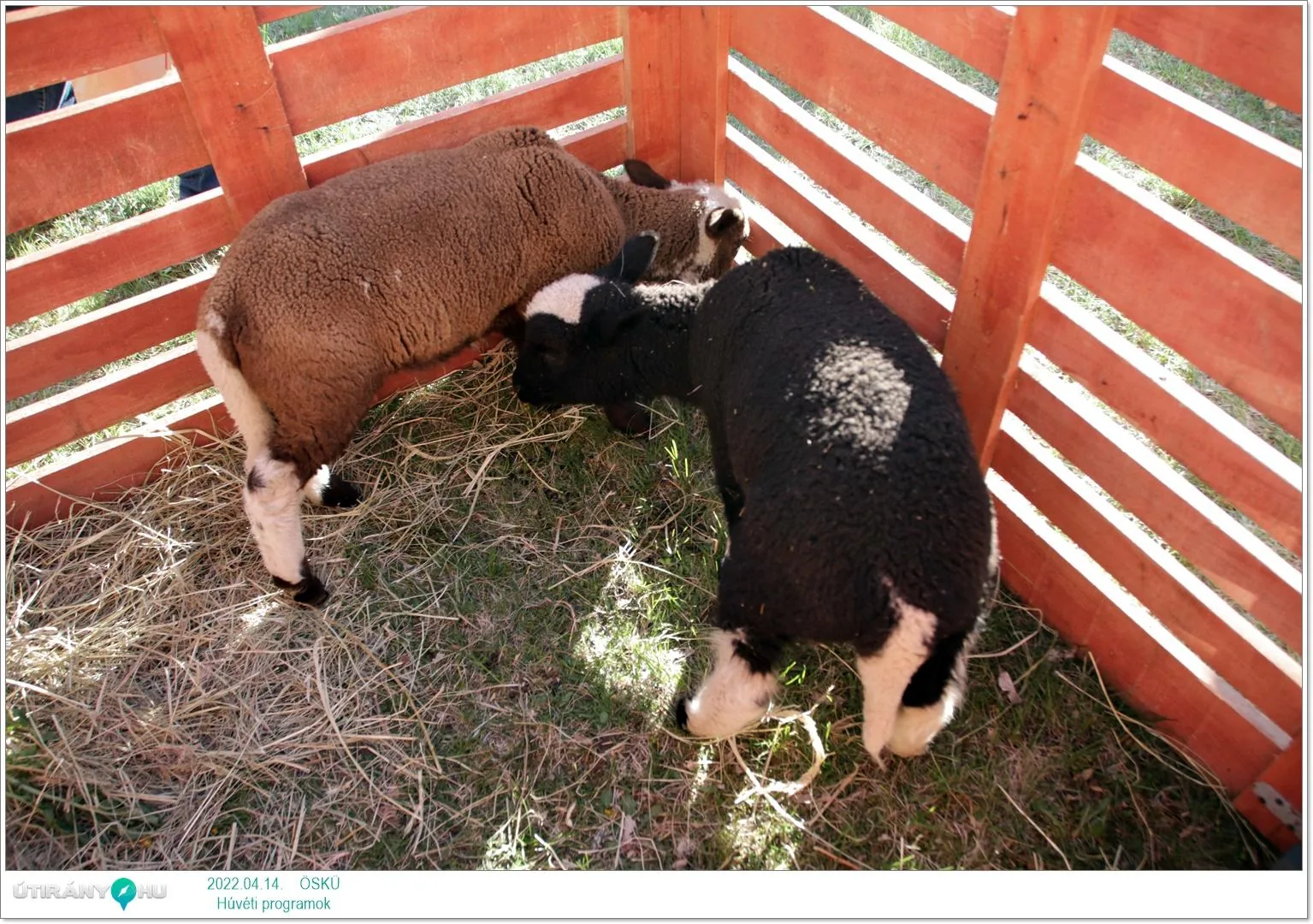 2022.04.14. csütörtöki nap Fotók: Útirány.hu