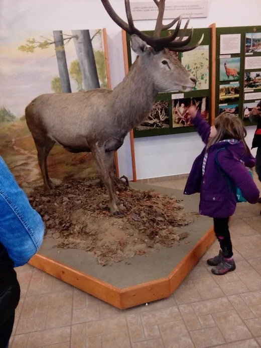 'Kirándulás Lentibe' cikk borítóképe