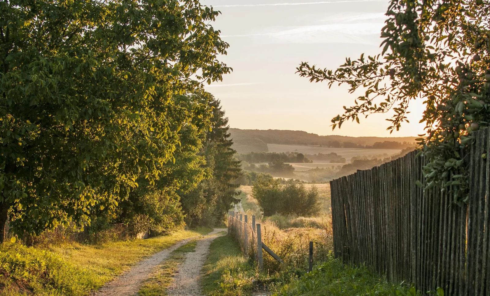 Fotó: Pesty Márton