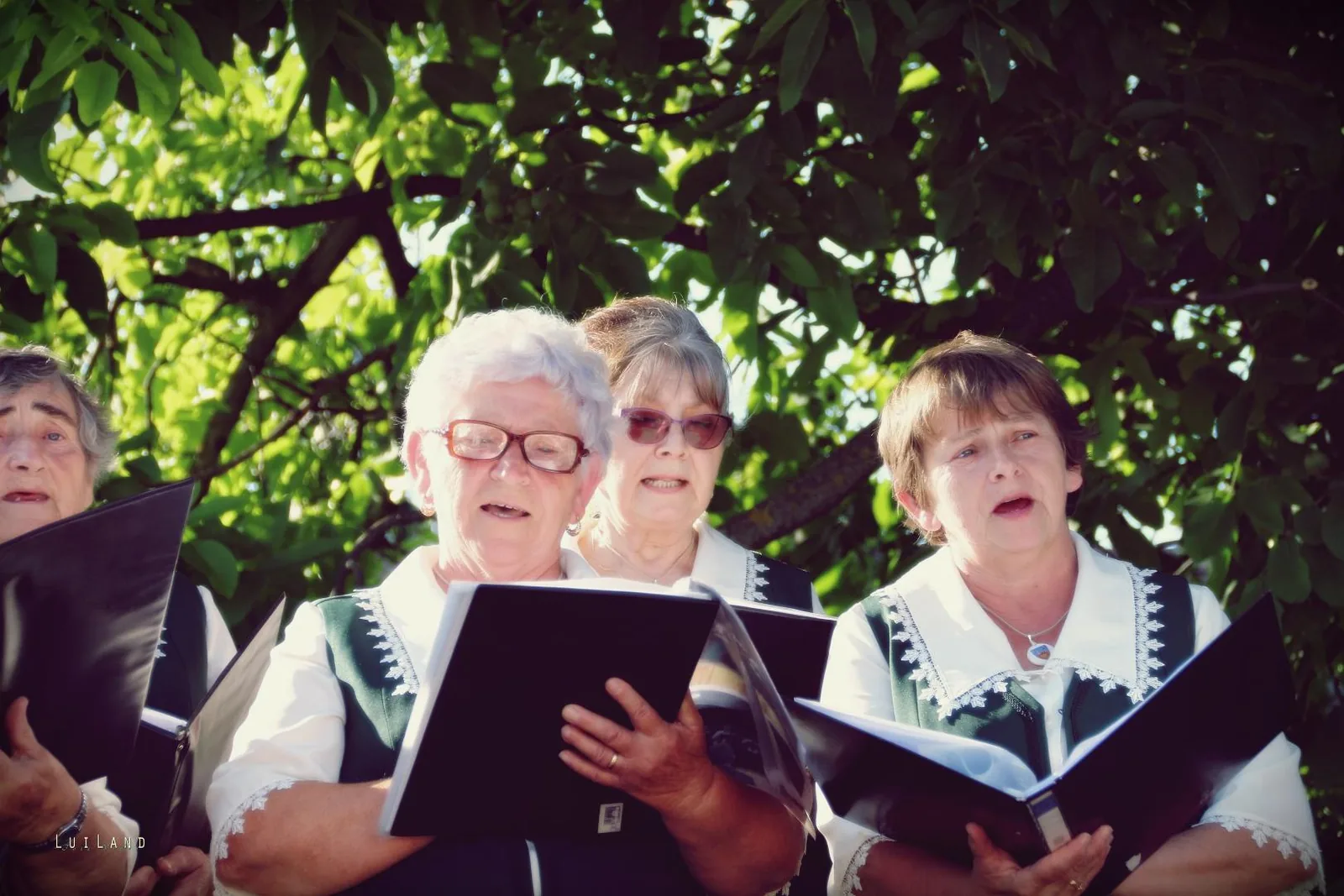 Falunap Fotó: LuiLand