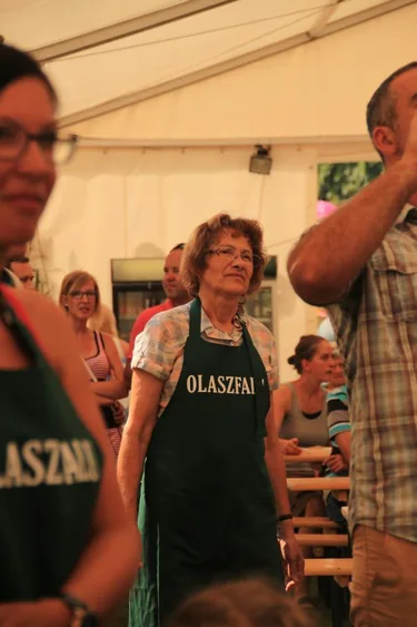 XIV. Bakonyi Krumpliszüreti és Művészeti Fesztivál 2016