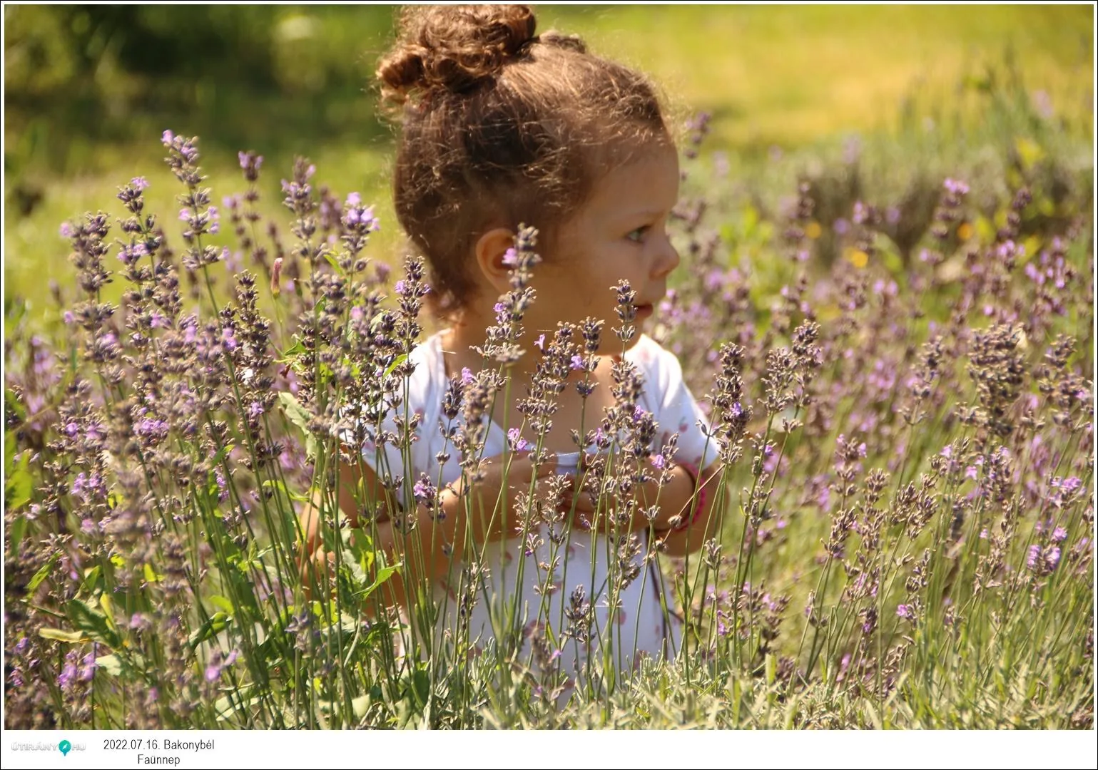 Fotók, Útirány.hu: