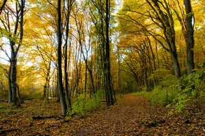 Fotó: Pesty Márton