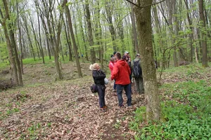 Fotók és kisfilm: Útirány.hu