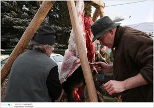 Fotók: Útirány.hu, Kiss Szabó Zoltán