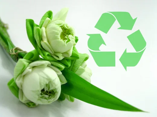 'Tájékoztató a szelektív gyűjtésről!' cikk borítóképe