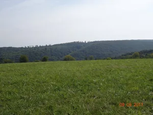 Fotó: Horváth Attila