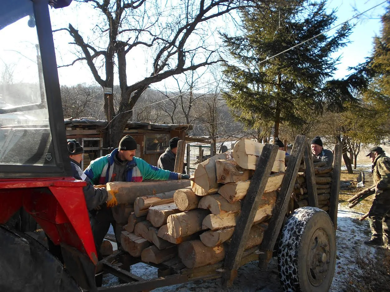 Szociális tűzifa kiosztása