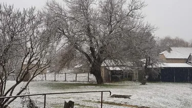 Fotók: Veinperlné Kovács Andrea, Polgármester