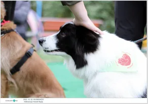 Fotók, Útirány.hu