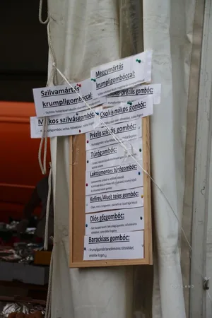 Fotók: Útirány.hu