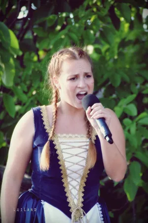 Falunap Fotó: LuiLand