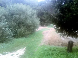 Gerence Pénzesgyőr 2018.09.04.