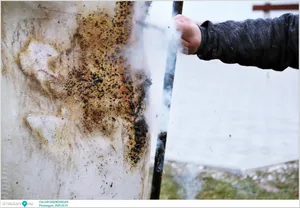 Pénzesgyőr, Falusi Disznóvágás 2025