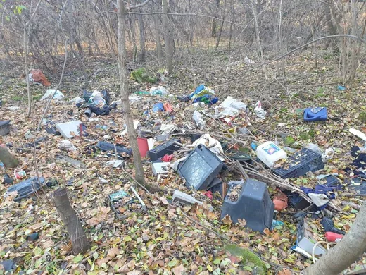 '"Tisztítsuk meg az Országot" program' cikk borítóképe
