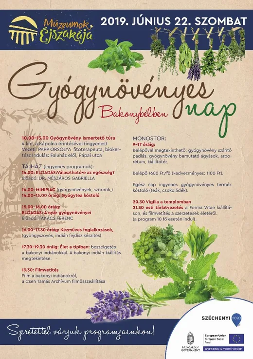 'Gyógynövényes nap' cikk borítóképe