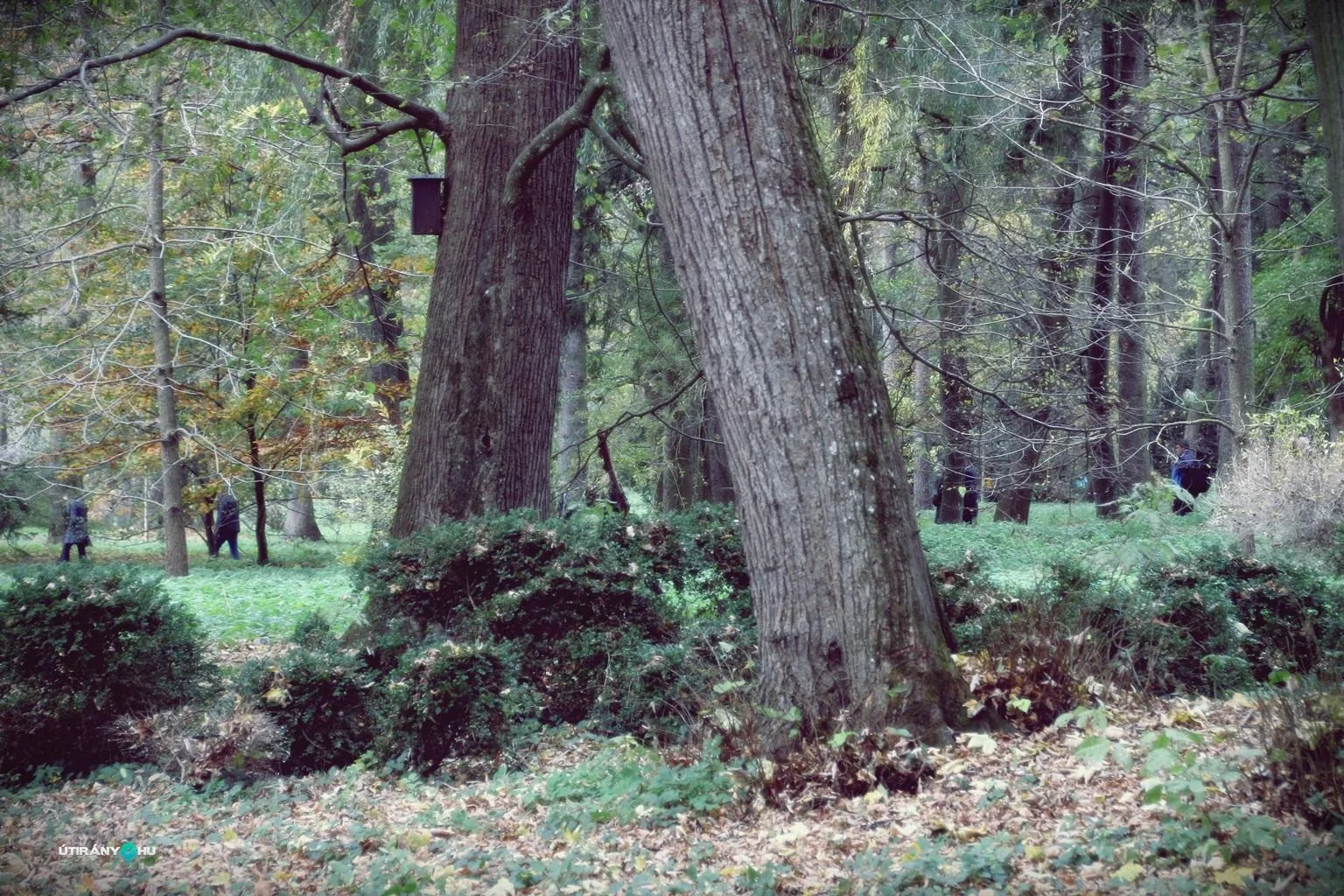 Szentmise után körséta az arborétumban. Fotók: Útirány.hu