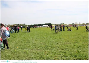 Fotók, Útirány.hu: