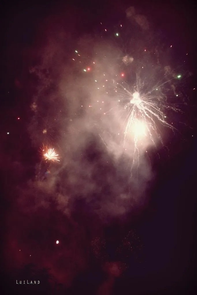 Nyárbúcsúztató főzőverseny, Fotó: LuiLand 