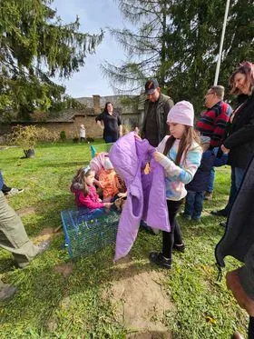 Képek az eseményről, Fotók: Önkormányzat