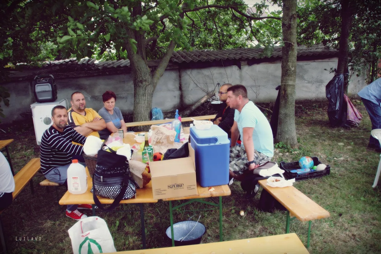 Falunap Fotó: LuiLand