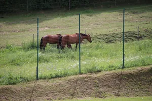 Fotók: Útirány.hu