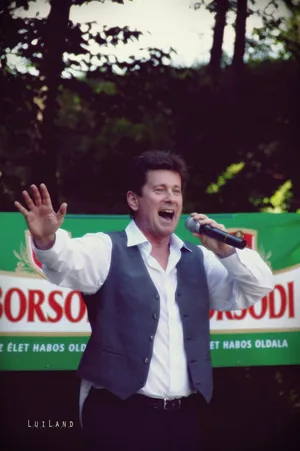 2018 Falunap Fotó: LuiLand