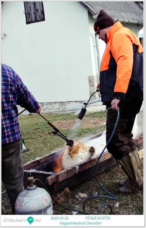 Fotók, Útirány.hu