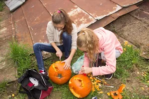 Fotók 2 album: Babai Lalinda