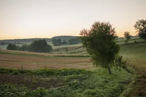 Fotó: Pesty Márton