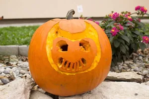 Fotók 1 album: Babai Lalinda