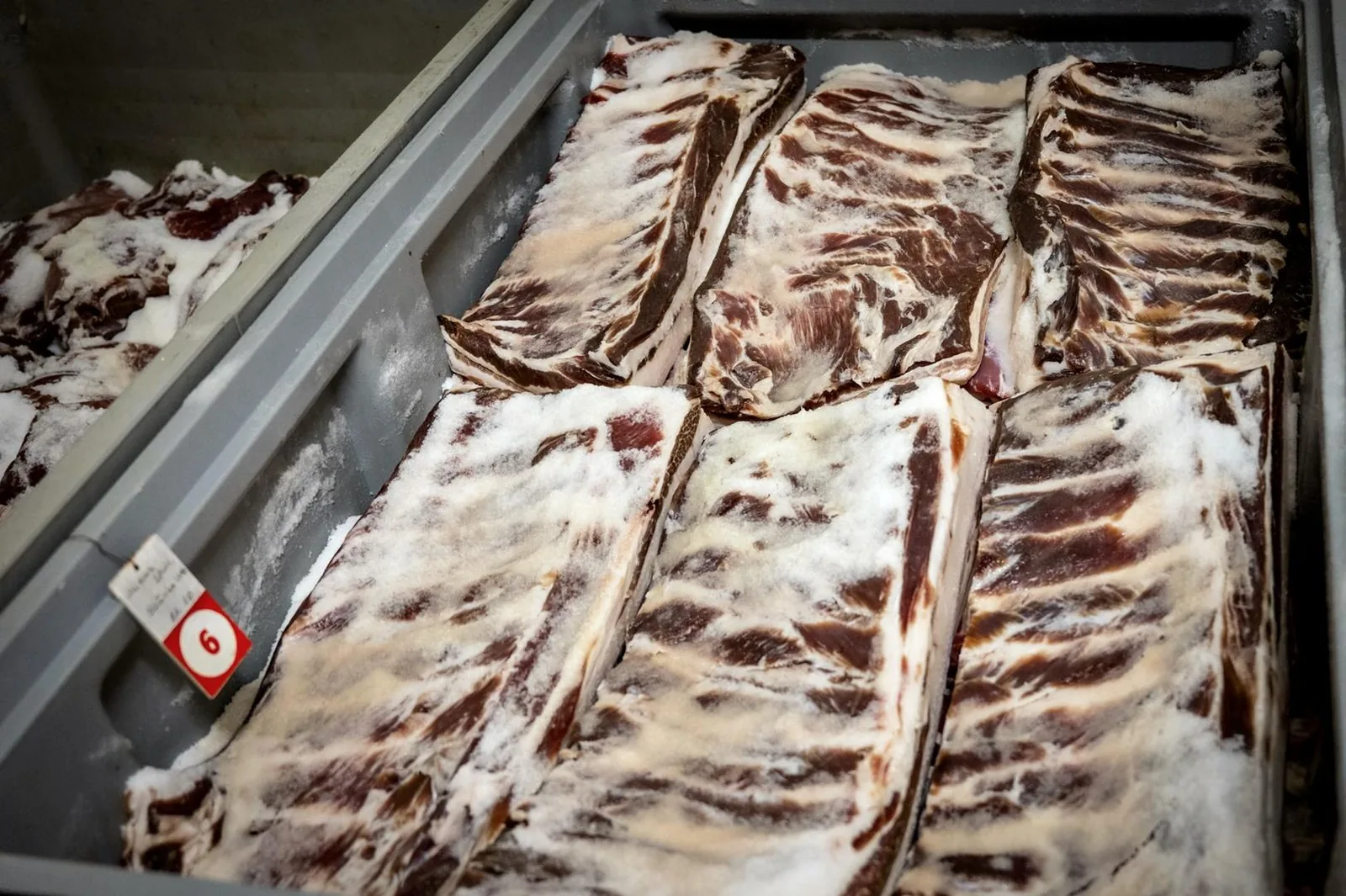 Képek: Horváth Dorottya