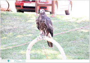 Képek: Útiárny.hu