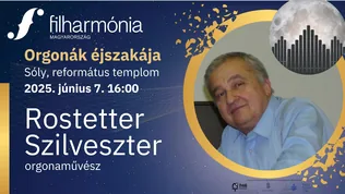 Orgonák Éjszakája borítóképe