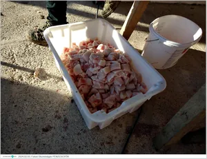 Fotók, Útirány.hu