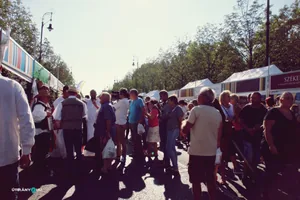 Nemzeti Vágta, Szombati képek. Fotó: Útirány.hu