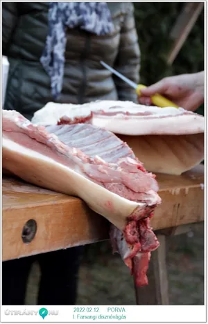 Fotók, Útirány.hu 