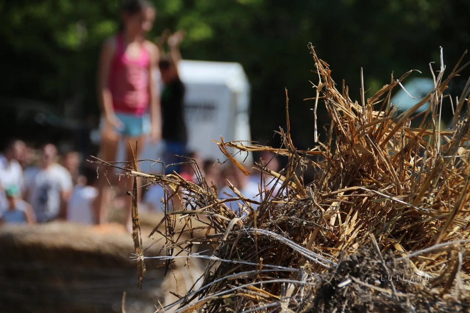 2017 Ösbő Vezér napok/ szombat/ képekben