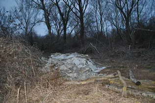 Veszélyes hulladékot rakott az erdőbe borítóképe