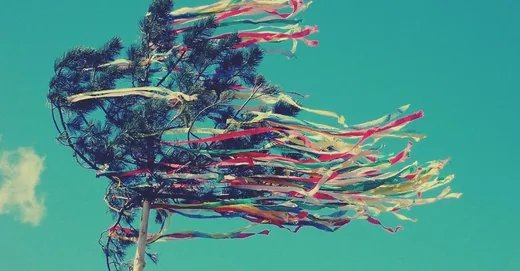 'Májusfa döntés' cikk borítóképe